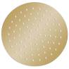 Gold Round Rain Shower Head - 20 cm Stainless Steel | HipoMarket