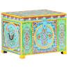 Hand Painted Storage Box - 50x40x40 cm Solid Mango Wood