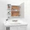 LED Mirror Cabinet with Storage | White 70x16.5x60 cm