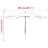 Garden Parasol with Wooden Pole - Terracotta 400x273 cm