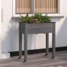 Wheeled Planter with Liner - Stylish Grey Fir Wood 71x37x80 cm