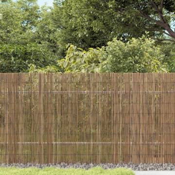 Garden Fence 500x80 cm Reed - Natural & Durable Decoration