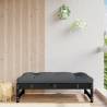 Garden Footstool Black 120x80 cm Solid Wood Pine Colour black pine Quantity in Package 1 Model footrest 