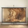 Projection Screen 120" 16:9 Size 120" 16:9 