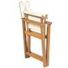 Folding Director's Chair - Solid Teak Wood | Hipo Market