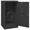 Saddle Cabinet Anthracite - Stylish Storage for Equestrian Gear