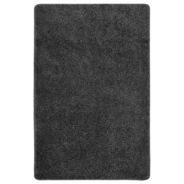 Shaggy Rug Dark Grey 200x290 cm - Anti Slip Comfort