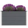 Garden Raised Bed WPC 100x50x54 cm Grey - Durable Planter