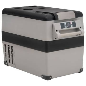 Cool Box with Handle - 45L Portable Black & Grey Cooler