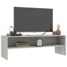 Stylish Concrete Grey TV Cabinet | 120x40x40 cm | Hipomarket