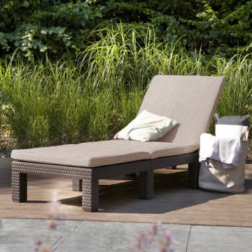 Keter Daytona Brown Sunlounger with Cushion - Comfort & Style