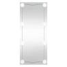 Wall Mirror with LED Lights 50x100 cm - Modern Glass Design