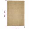 Durable Sisal Rug for Cat Scratching Post - 100x150 cm