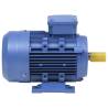 3 Phase Electric Motor 3kW/4HP - Aluminium, 2840 RPM