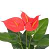 Artificial Anthurium Plant - 45 cm Red & Yellow | Hipo Market