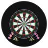 Professional Dart Set with Dartboard & Surround - Hipomarket