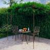 Antique Brown Garden Pergola 3x3x2.5m - Elegant Iron Structure