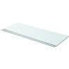 Clear Glass Shelves - 2 pcs Panel 80x30 cm | HipoMarket UK