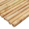 Bamboo Bath Mats 2 pcs - Natural Wellness for Your Bathroom