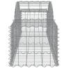 Arched Gabion Baskets - 20 pcs, 200x50x40/60 cm Galvanised Iron