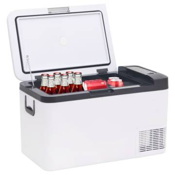 Cool Box with Handle & Adapter - 18L Portable Fridge