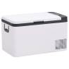 Cool Box with Handle & Adapter - 18L Portable Fridge