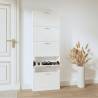 Shoe Cabinet High Gloss White | Stylish Storage Solution