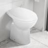 High Rimless Toilet Soft Close 7 cm Higher Ceramic White Colour white 