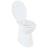 High Rimless Toilet Soft Close - Elevated Comfort & Hygiene