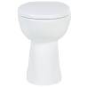 High Rimless Toilet Soft Close - Elevated Comfort & Hygiene