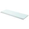 Shelves 2 pcs Panel Glass Clear 90x30 cm Size 90 x 30 cm Quantity in Package 2 Number of Pieces 1 