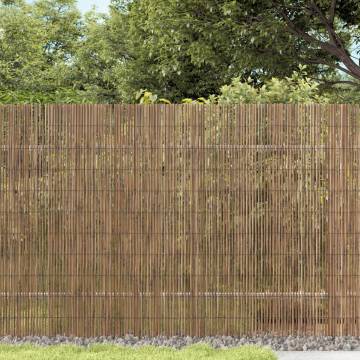 Garden Fence 600x100 cm Reed | Durable & Natural Decor