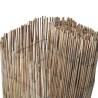 Garden Fence 600x100 cm Reed | Durable & Natural Decor