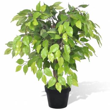 Artificial Dwarf Ficus with Pot - 60 cm | Hipomarket