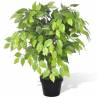 Artificial Dwarf Ficus with Pot 60 cm Size 60 cm Quantity in Package 1 