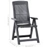 Garden Reclining Chairs Set - 2 Pcs Plastic Anthracite