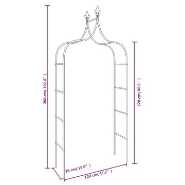 Garden Arches 2 pcs Black Steel - 120x38x260 cm | Hipo Market