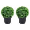 Artificial Boxwood Plants 2 pcs with Pots Ball Shaped Green 32 cm Size 23.5 x 32 cm Quantity in Package 2 