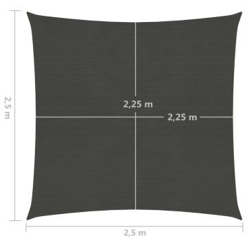 Sunshade Sail 160 g/m² Anthracite - 2.5x2.5 m HDPE