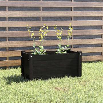 Garden Planter Black 60x31x31 cm - Durable Pinewood