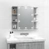 Mirror Cabinet with LED Grey Sonoma 70x16.5x60 cm Colour grey sonoma Quantity in Package 1 