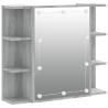 Mirror Cabinet with LED Grey Sonoma - Stylish & Functional