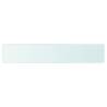 Clear Glass Shelf Panel 80x15 cm - Perfect for Display