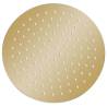 Round Gold Rain Shower Head - Stainless Steel 25 cm