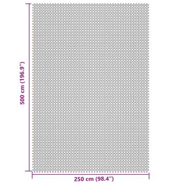 Light Grey Camping Floor Mat 5x2.5m - Durable & Versatile