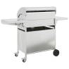 Gas BBQ Grill with 7 Burners - Silver Stainless Steel