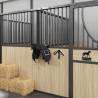 Bridle Rack Wall Mounted - Black Iron | Hipomarket