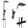 Dual Head Shower Set with Mixer | Stylish Black Brass Design