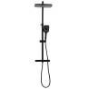 Dual Head Shower Set with Mixer | Stylish Black Brass Design