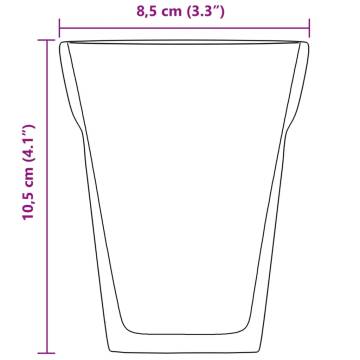 Double Wall Glass Cups - 6 pcs 250 ml | HipoMarket